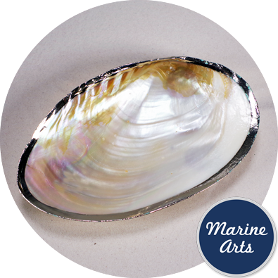 8486-P20 - Silver Edge Dish - Cabebe Clam